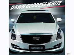 TPU-Dea dell'alba bianca